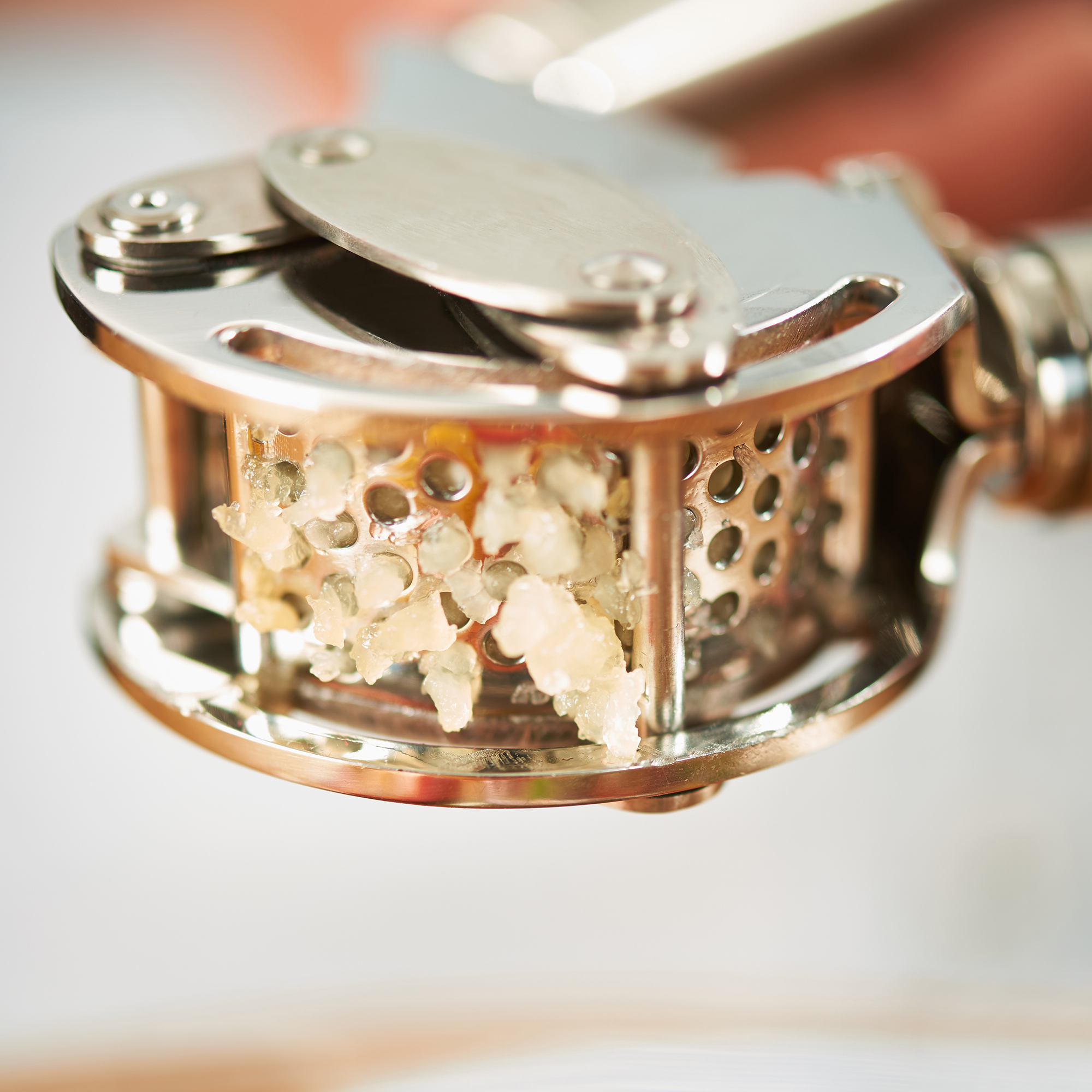 RÖSLE Knoblauchpresse mit Abstreifer Knoblauchpresse aus Edelstahl mit Abstreifer, gefüllt mit zerdrücktem Knoblauch.