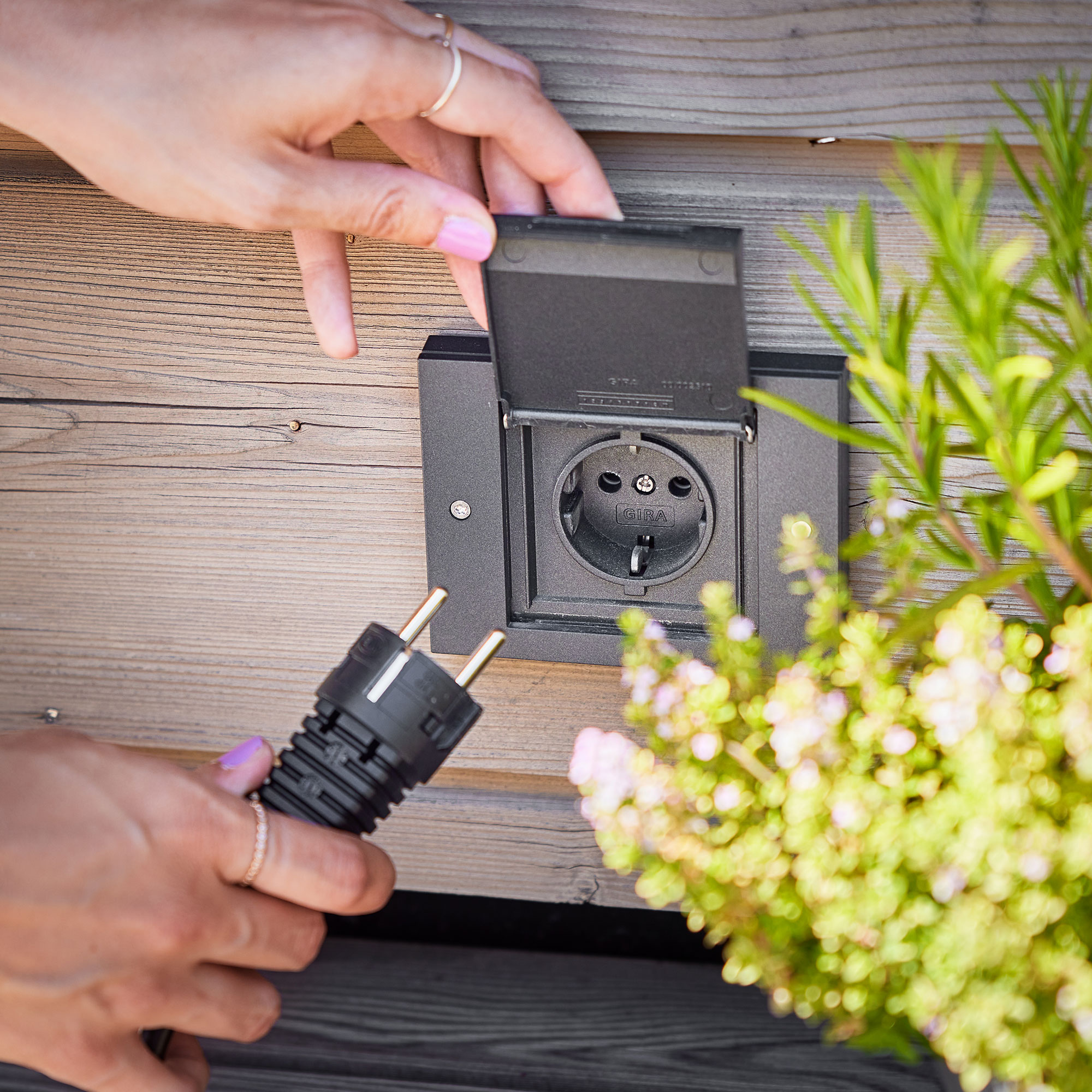 Person verbindet Elektrogrill mit Außensteckdose Eine Person steckt einen Stecker in eine Außensteckdose, um einen Elektrogrill zu betreiben....